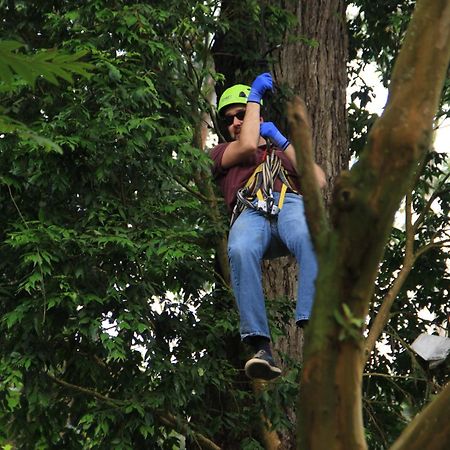 Bosque De Aventura & Glamping Refugio Del Bosque Hotel La Mesa  Kültér fotó