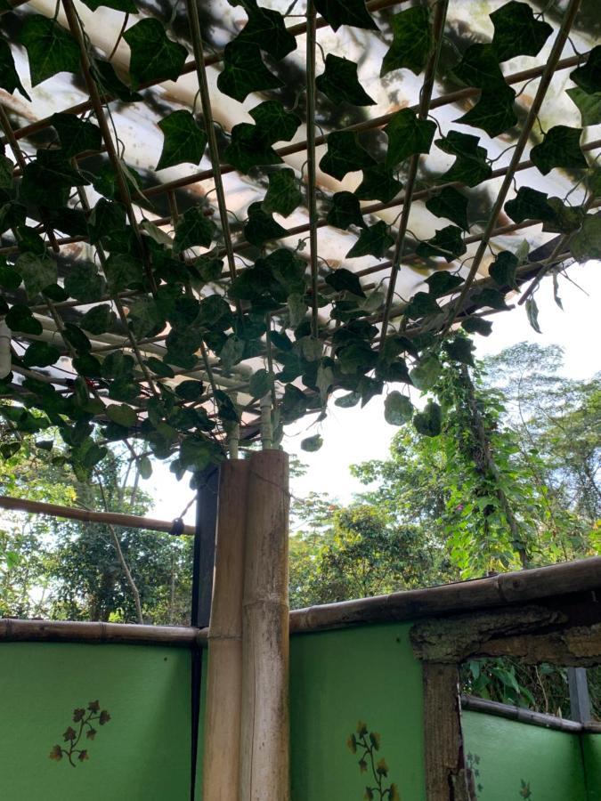 Bosque De Aventura & Glamping Refugio Del Bosque Hotel La Mesa  Kültér fotó