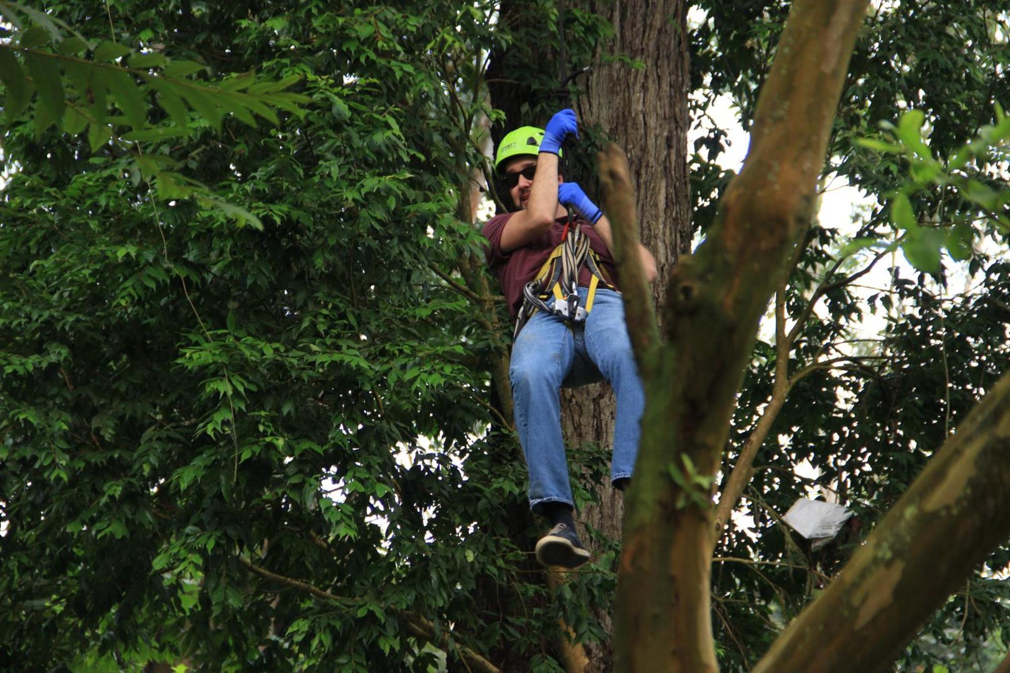 Bosque De Aventura & Glamping Refugio Del Bosque Hotel La Mesa  Kültér fotó
