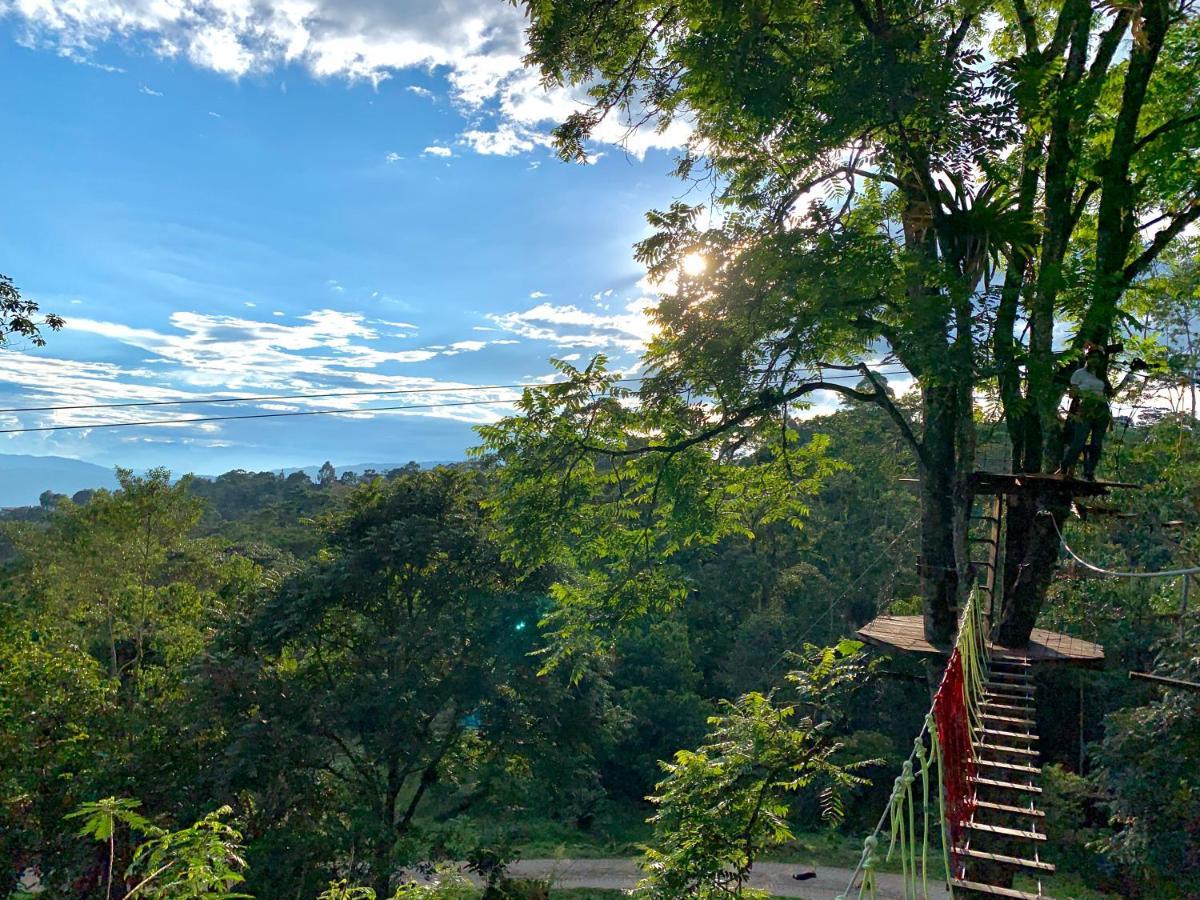Bosque De Aventura & Glamping Refugio Del Bosque Hotel La Mesa  Kültér fotó